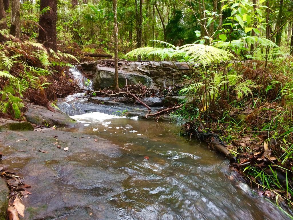 Noosa Hinterland Retreat Apartment Tinbeerwah Exterior foto